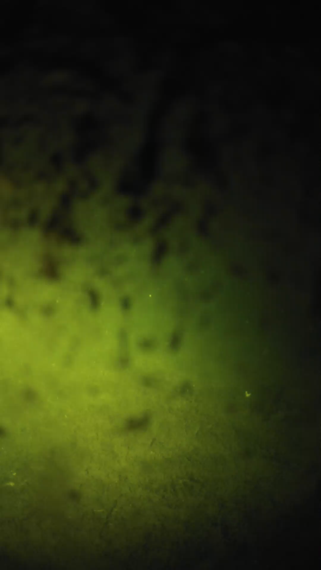 lander_ipcam_20240703220553.png