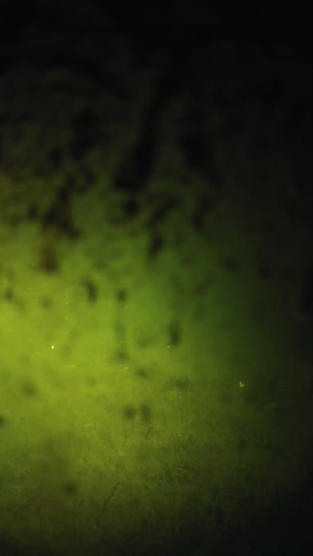 lander_ipcam_20240703223545.png