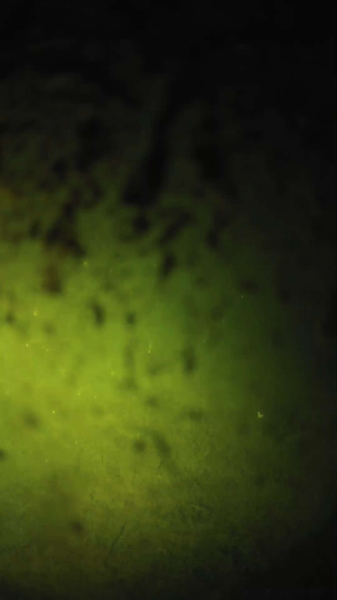 lander_ipcam_20240703223555.png