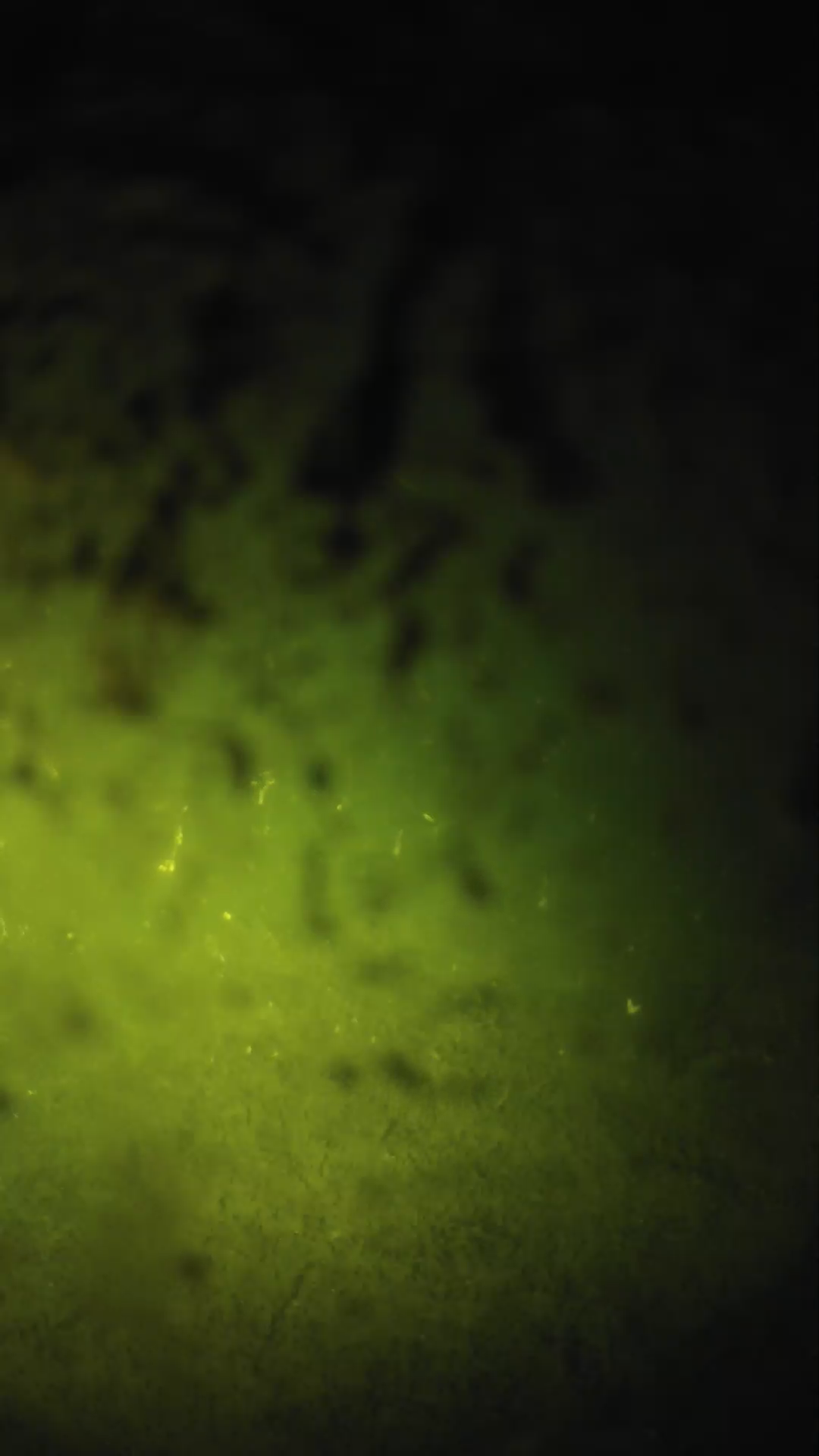 lander_ipcam_20240703233546.png