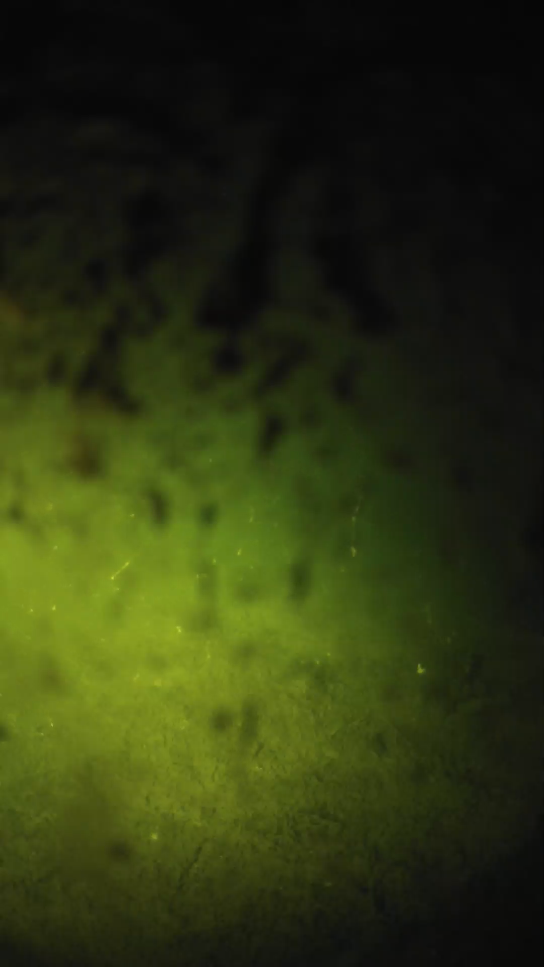 lander_ipcam_20240704000542.png