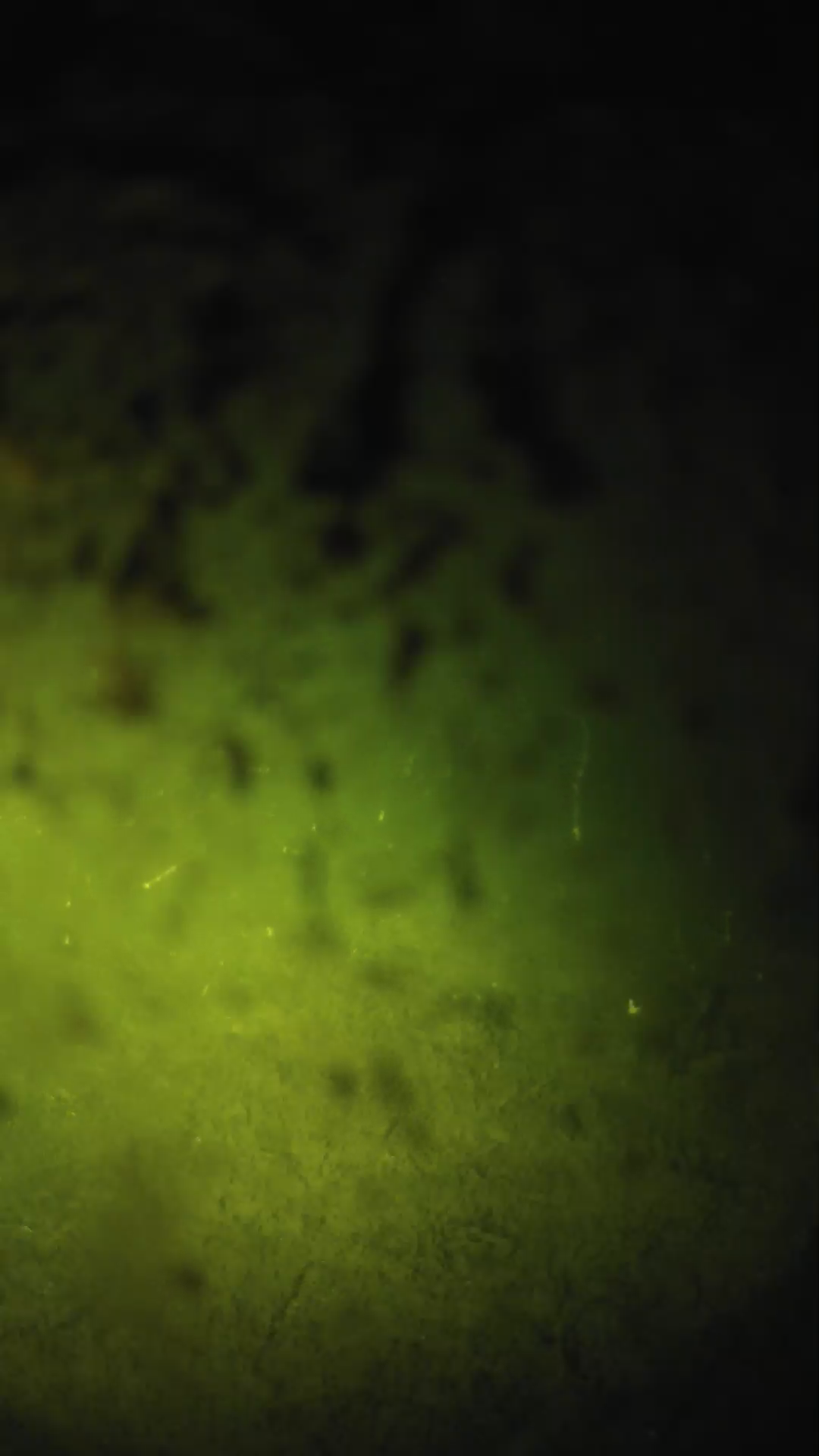 lander_ipcam_20240704000545.png