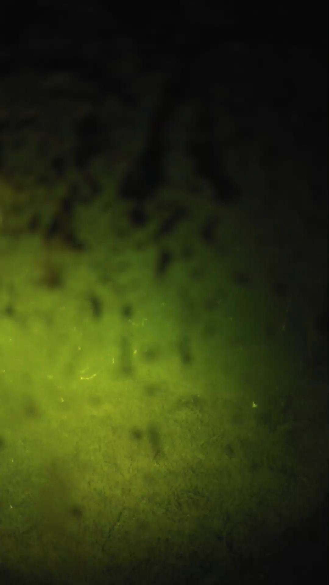 lander_ipcam_20240704000552.png