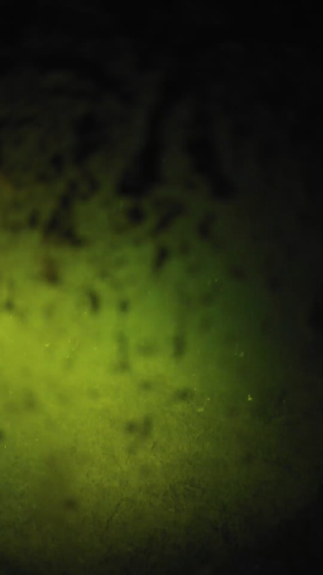 lander_ipcam_20240704003542.png