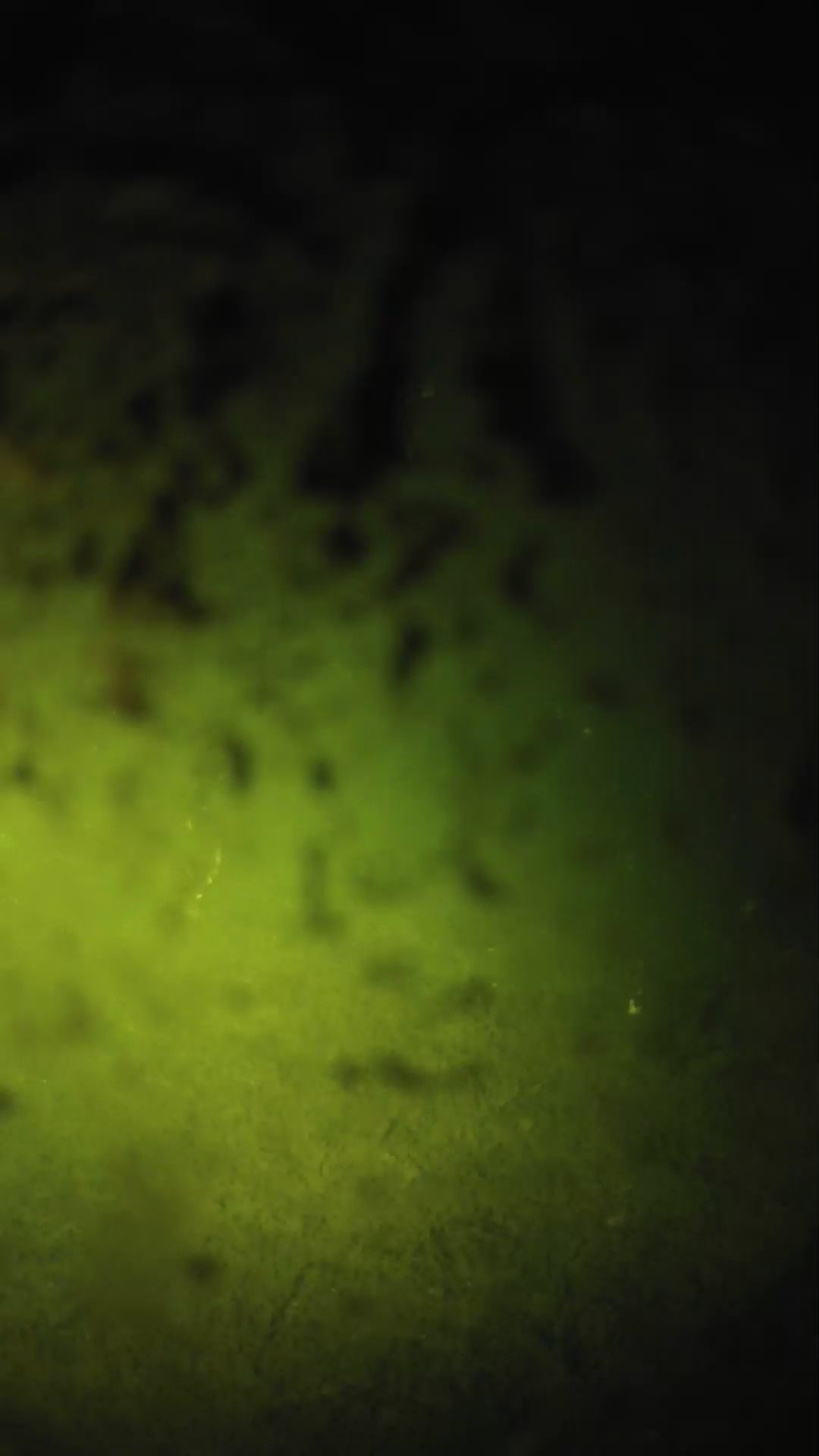 lander_ipcam_20240704003553.png