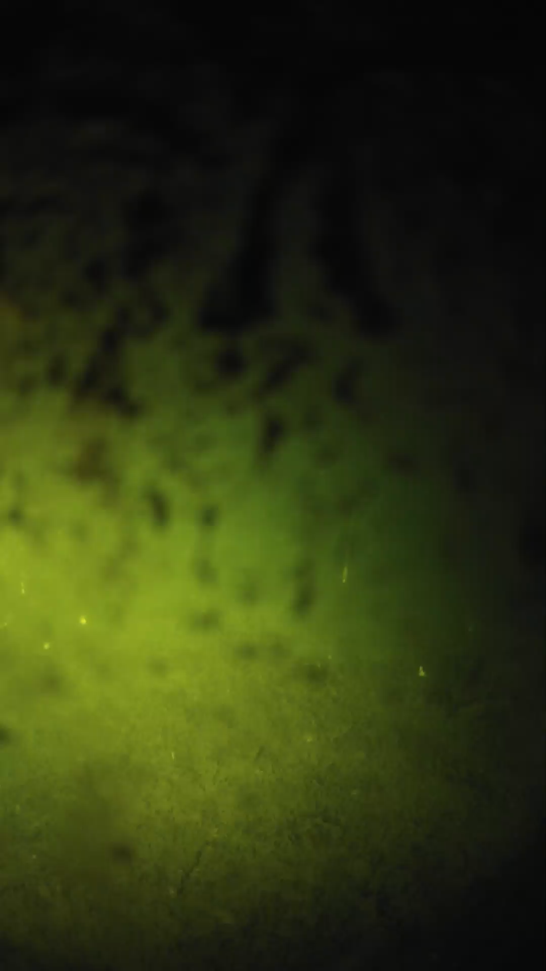 lander_ipcam_20240704020549.png