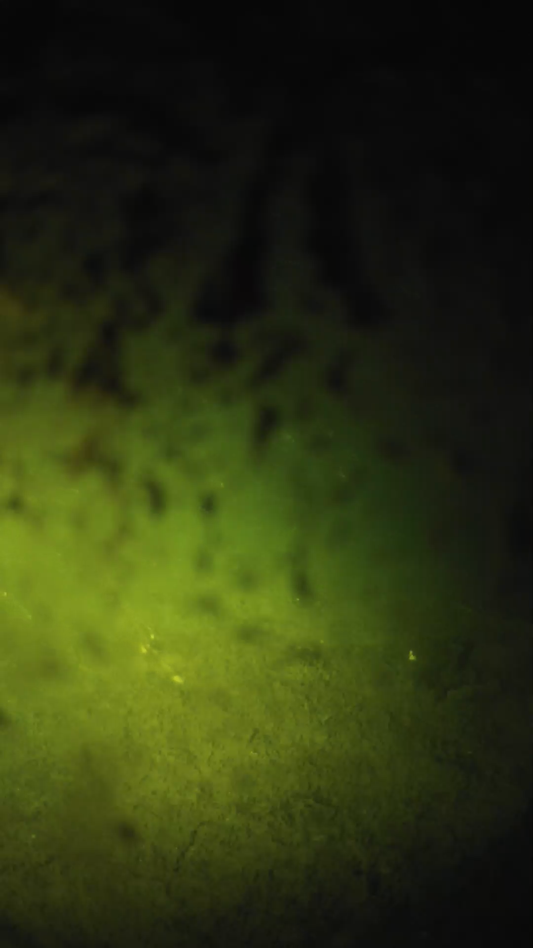 lander_ipcam_20240704030608.png