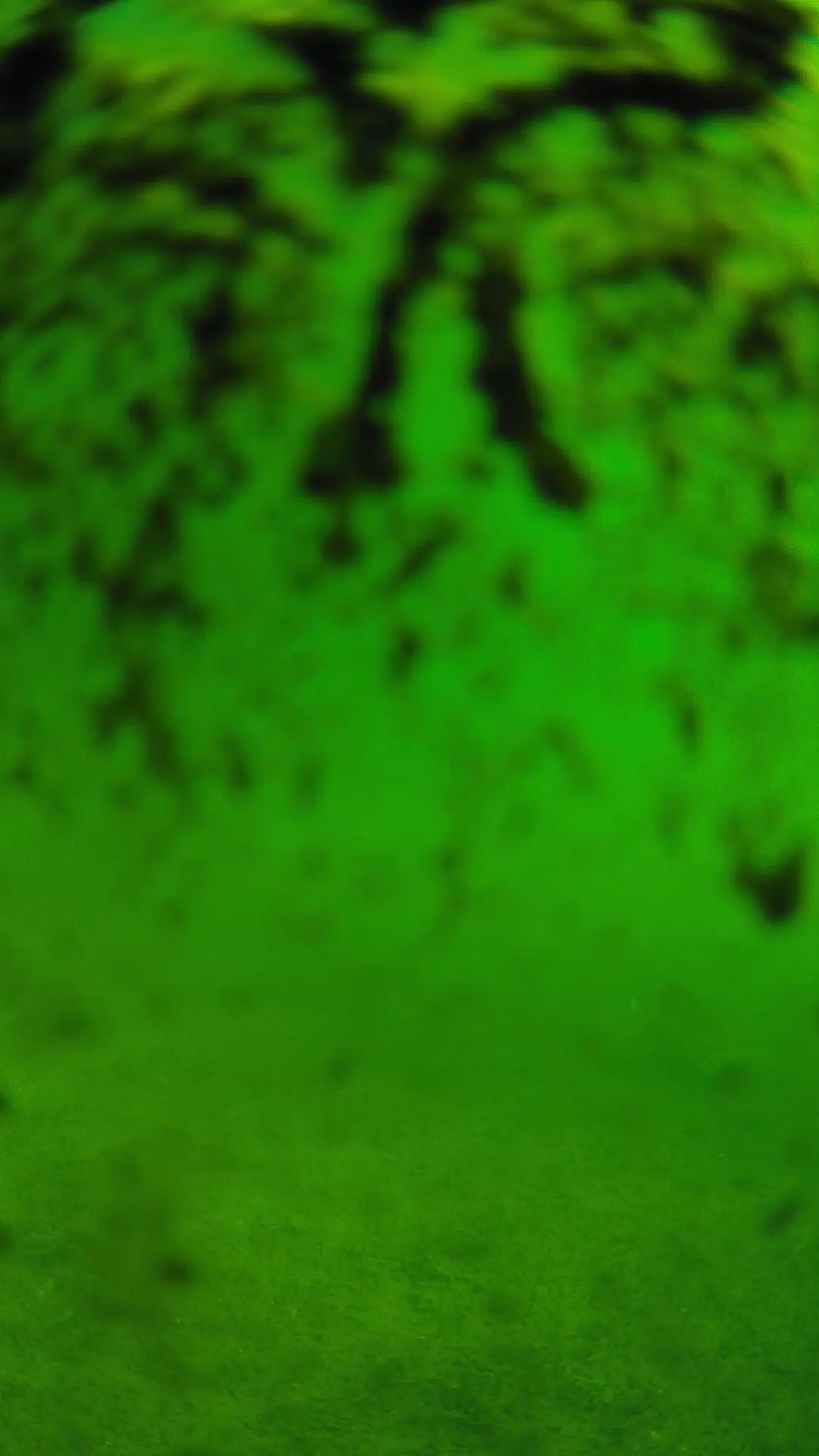 lander_ipcam_20240704083549.png