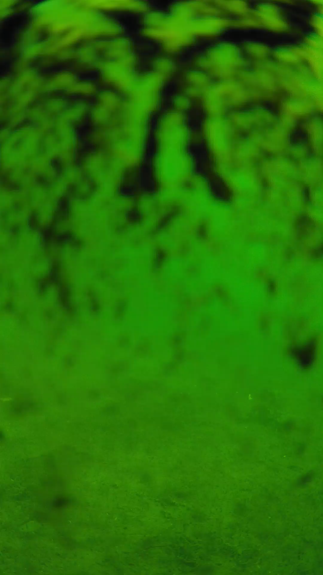 lander_ipcam_20240704093538.png