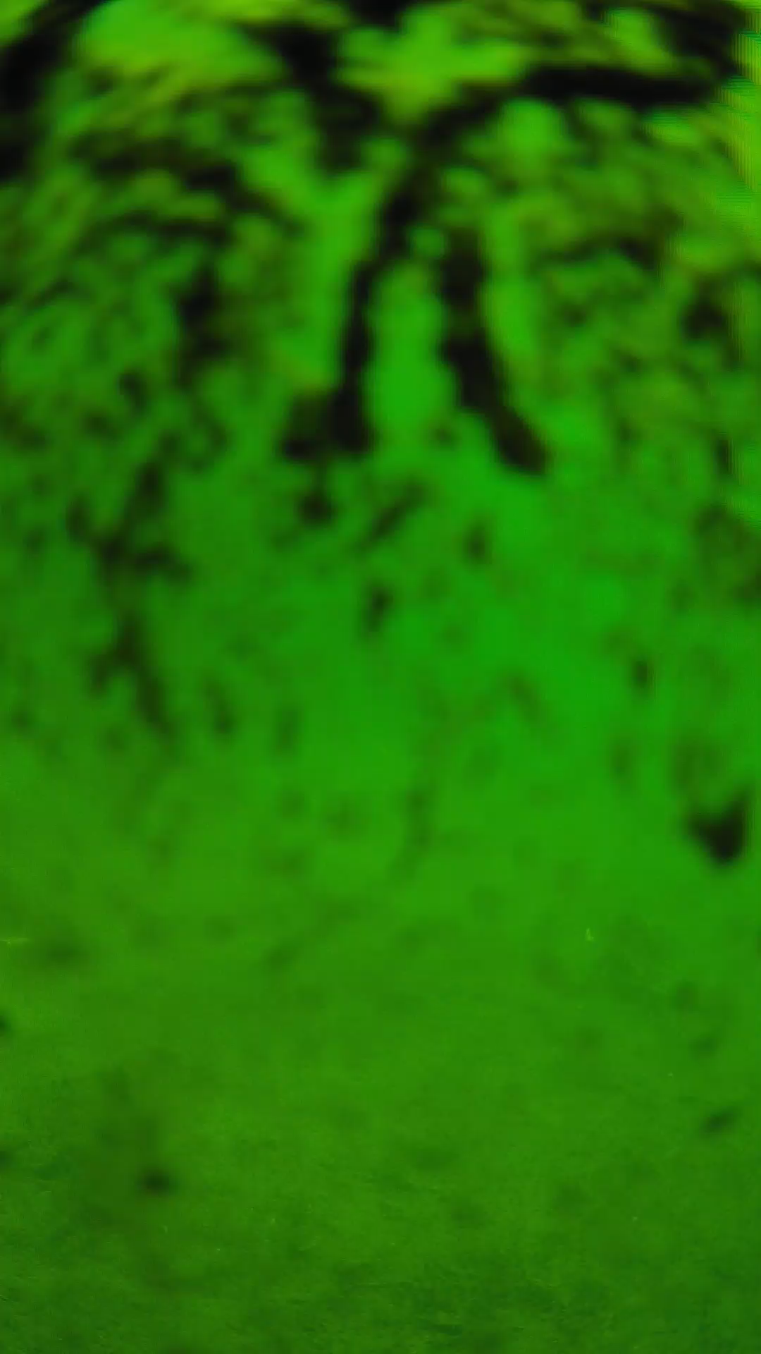 lander_ipcam_20240704100539.png