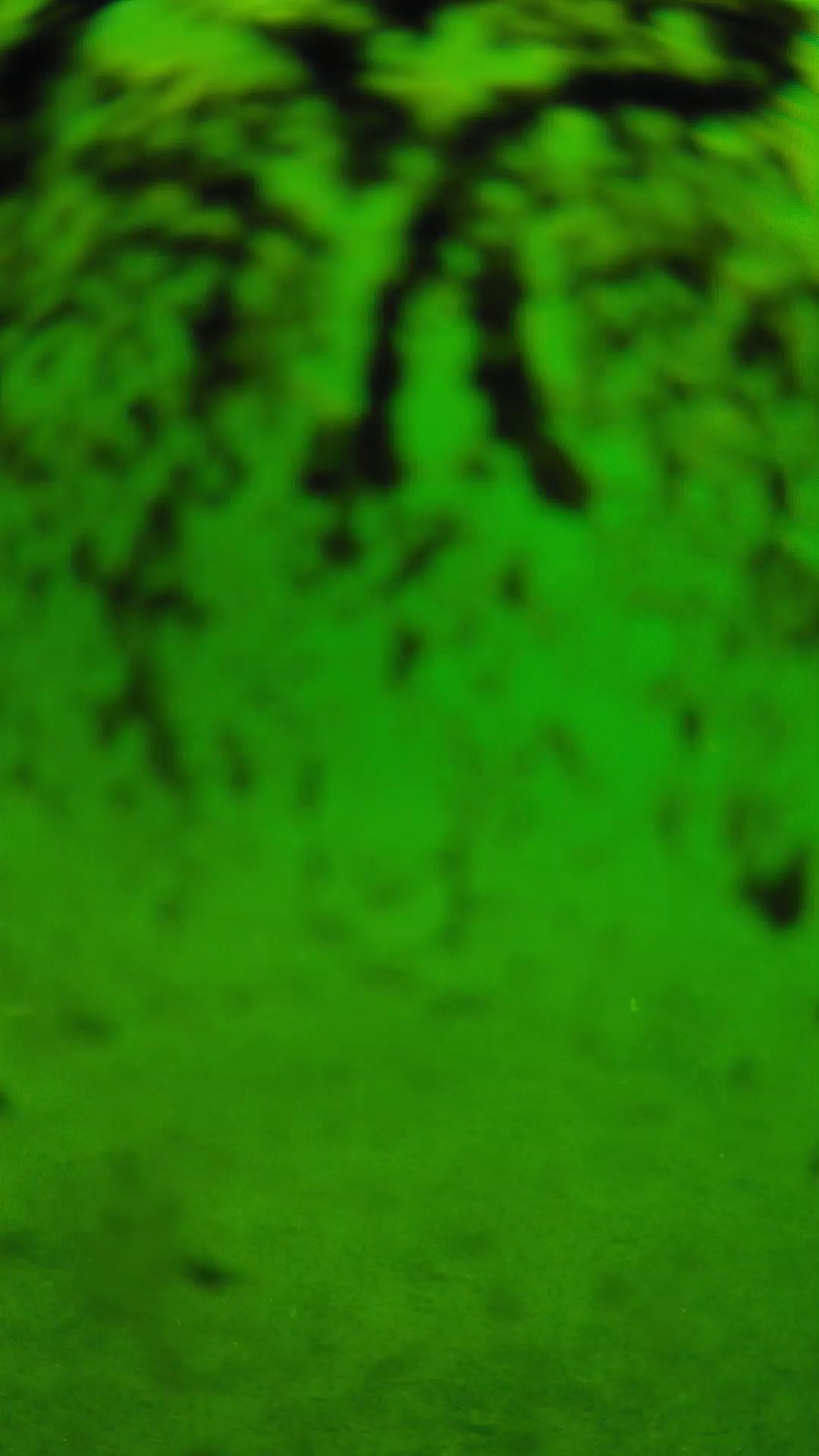 lander_ipcam_20240704100546.png