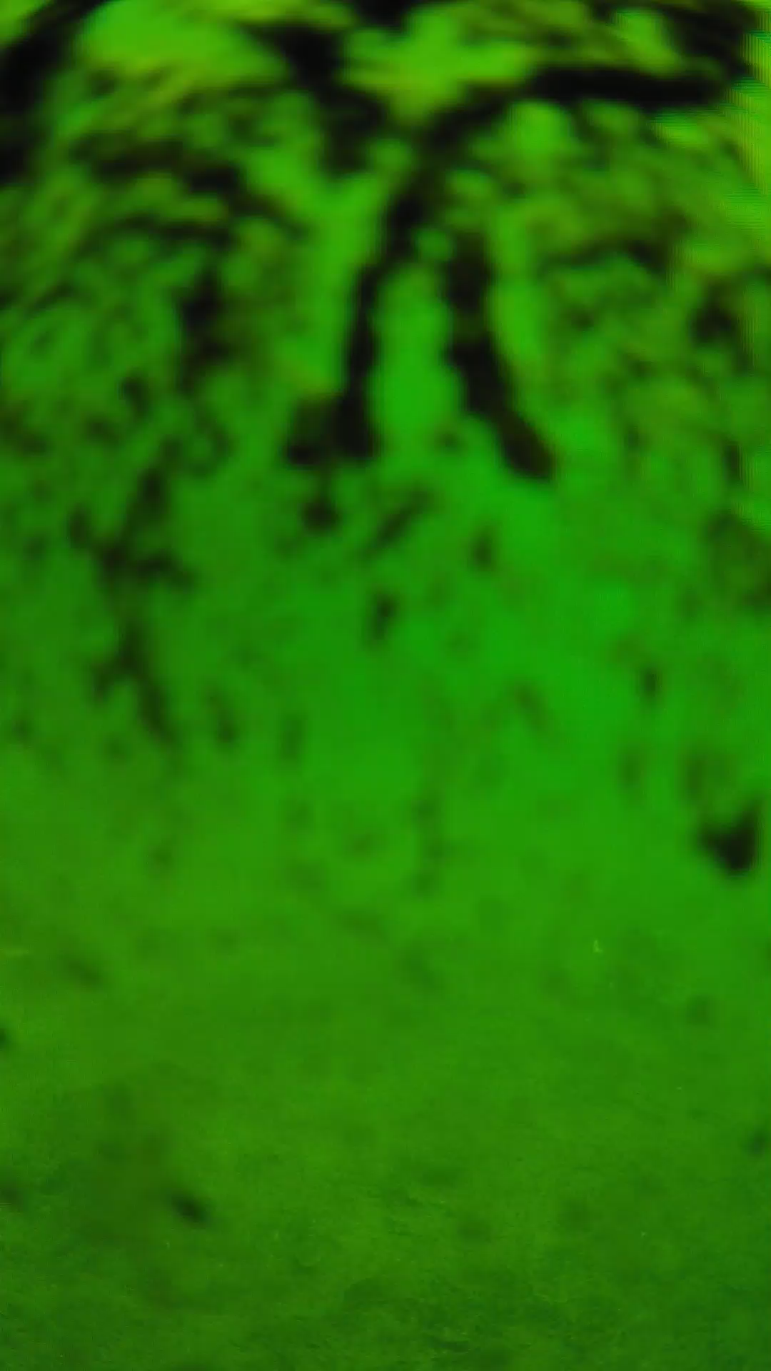 lander_ipcam_20240704100549.png