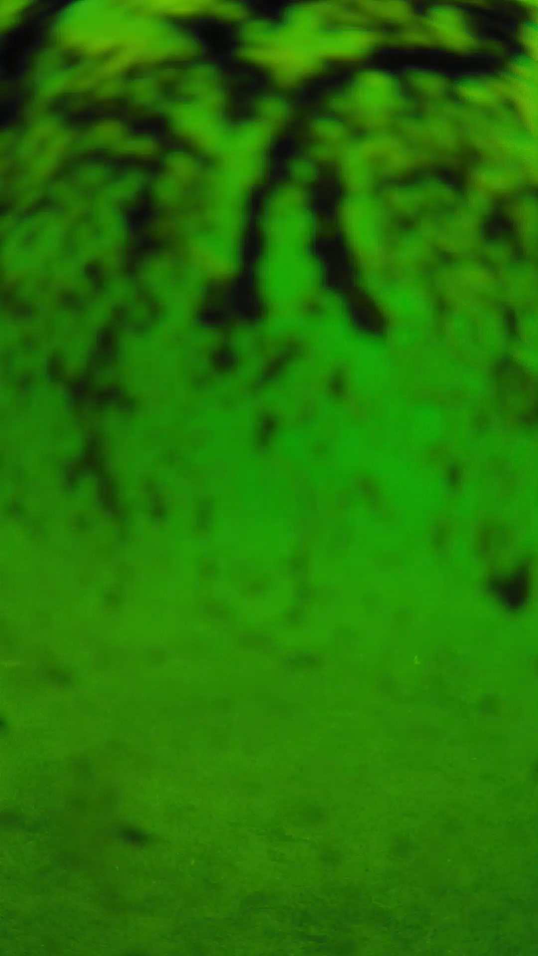 lander_ipcam_20240704100553.png