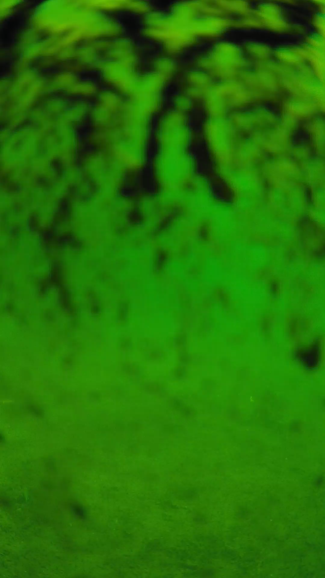 lander_ipcam_20240704100601.png