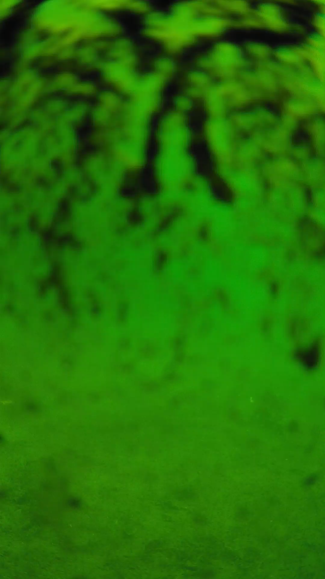 lander_ipcam_20240704100605.png