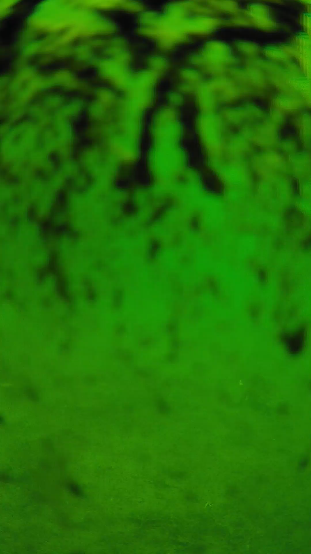 lander_ipcam_20240704103539.png