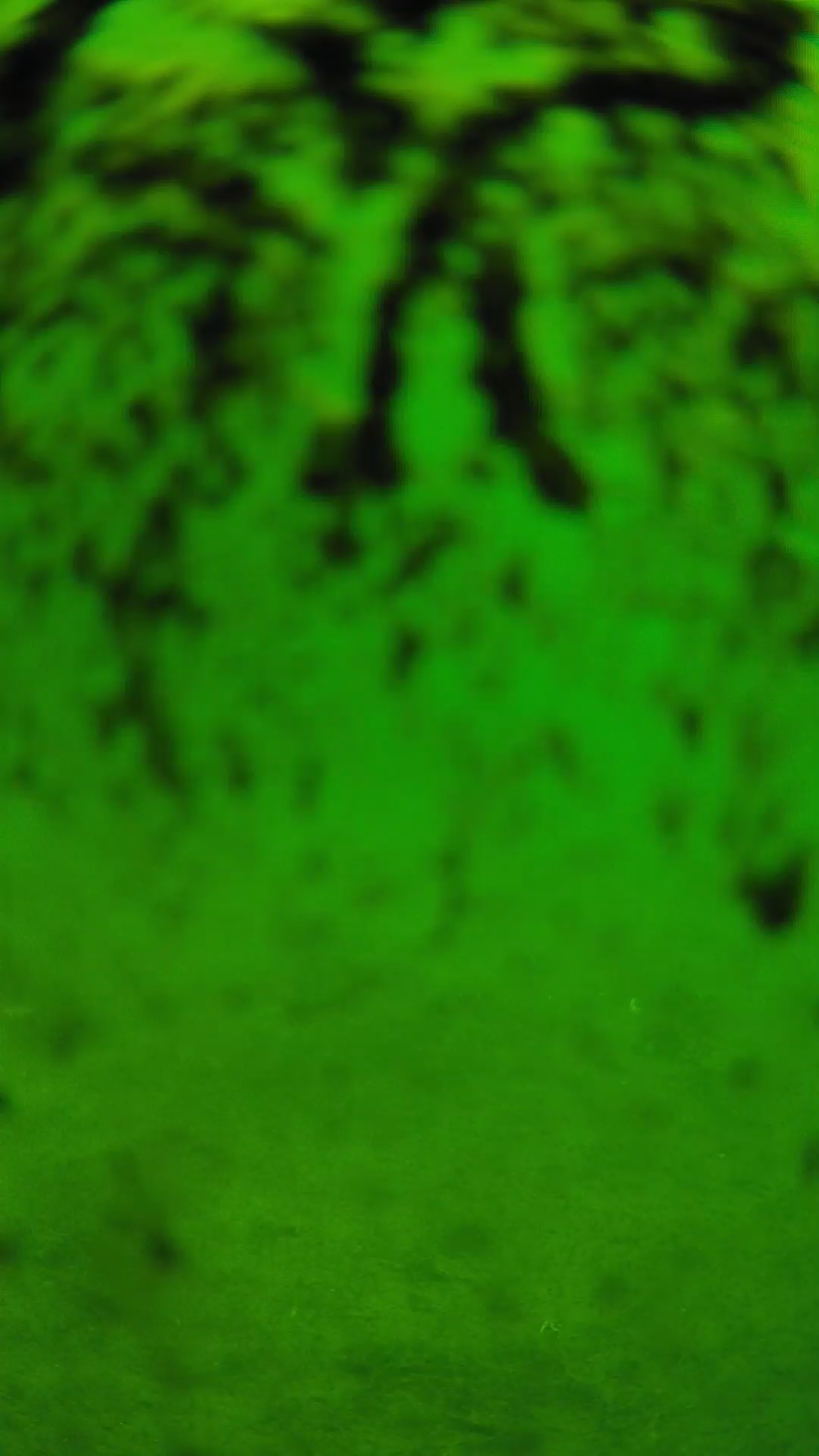 lander_ipcam_20240704103542.png