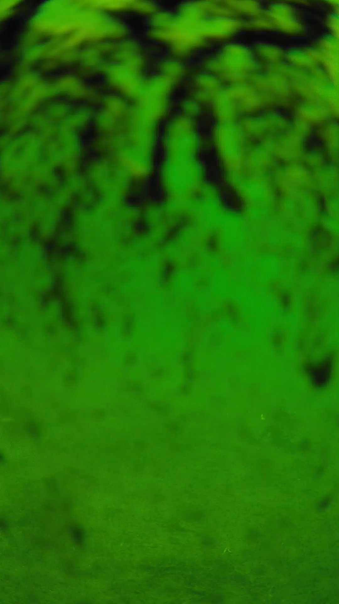 lander_ipcam_20240704103549.png