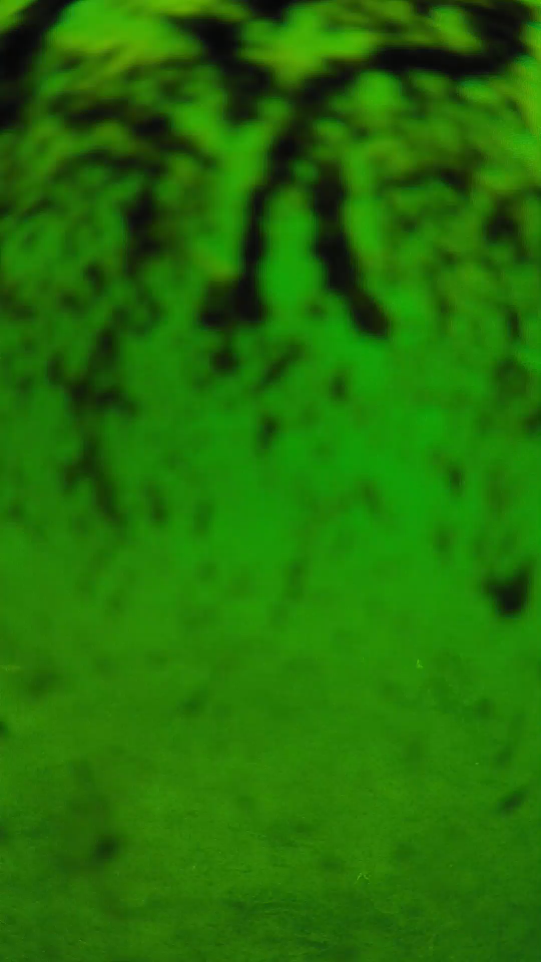lander_ipcam_20240704103552.png