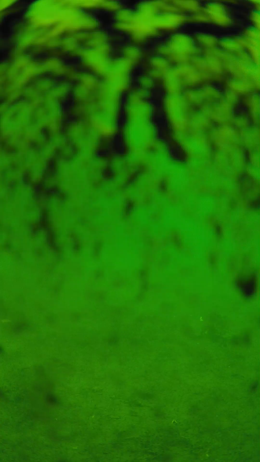 lander_ipcam_20240704110552.png