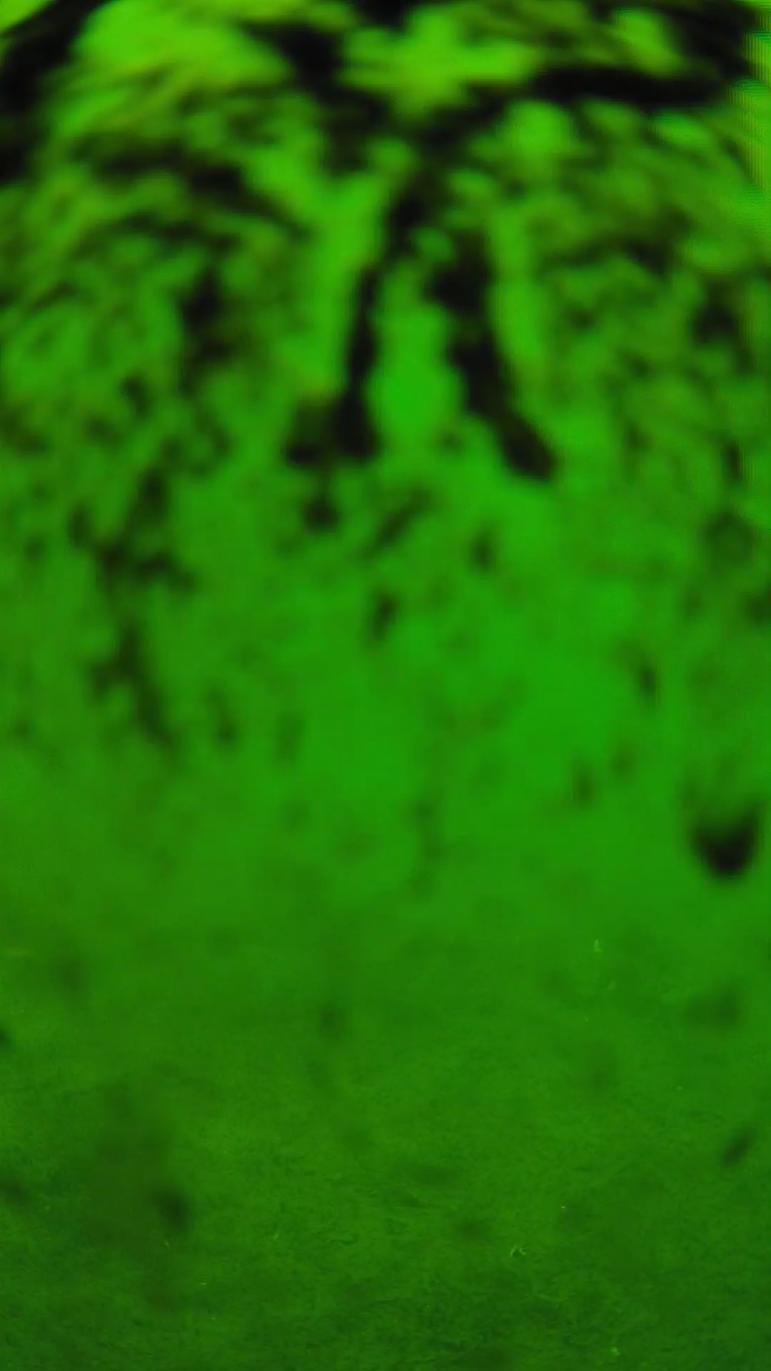 lander_ipcam_20240704113545.png