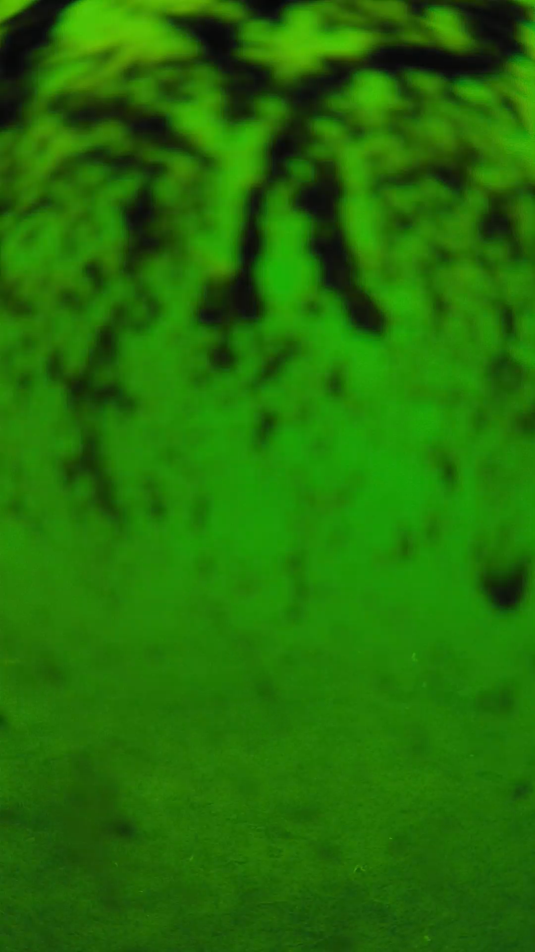 lander_ipcam_20240704113552.png