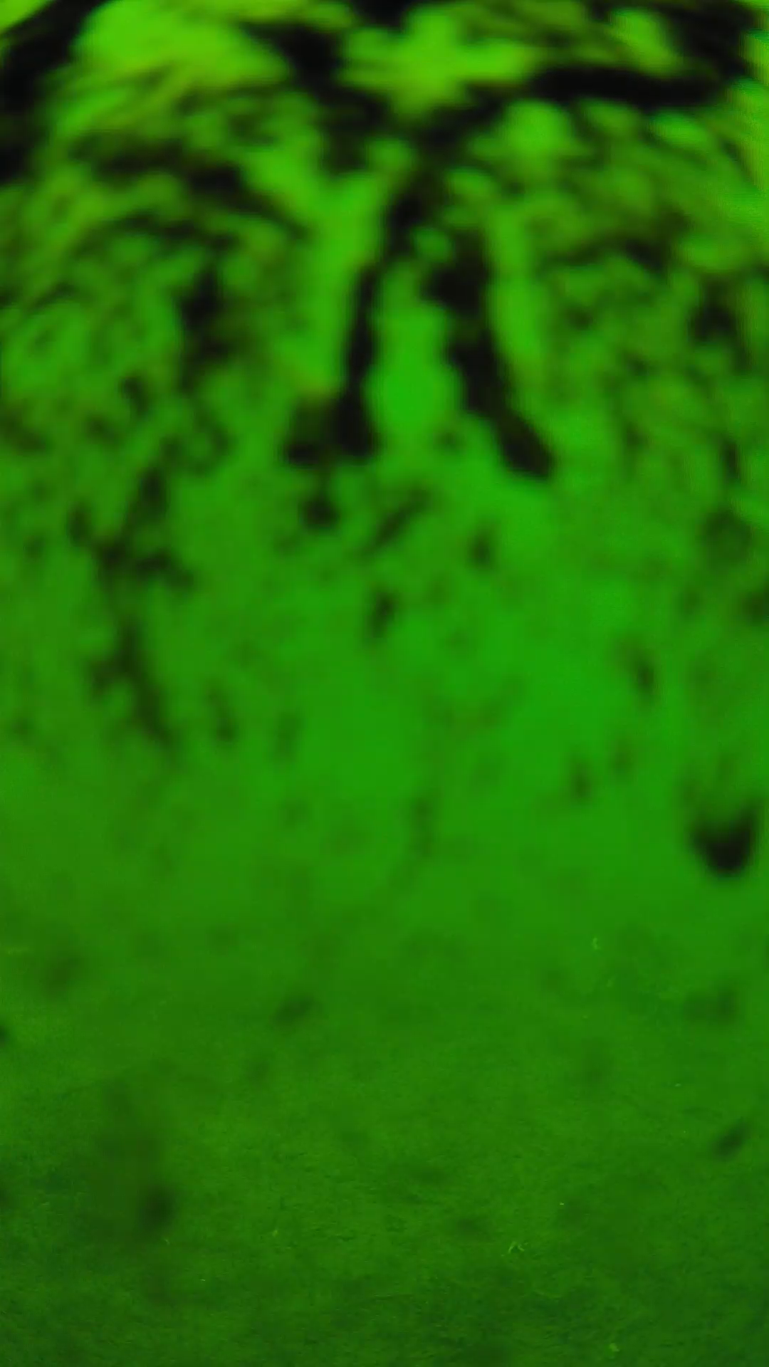 lander_ipcam_20240704113556.png