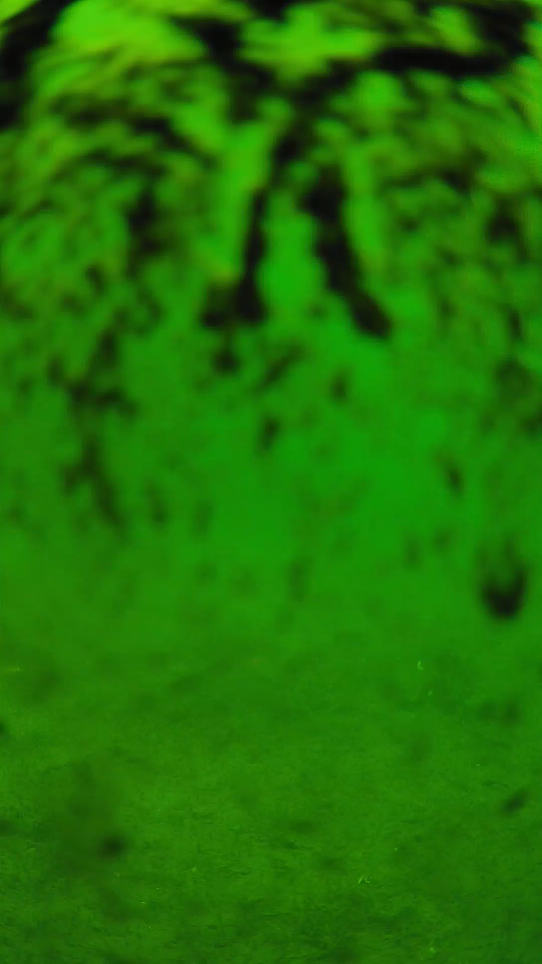 lander_ipcam_20240704120538.png