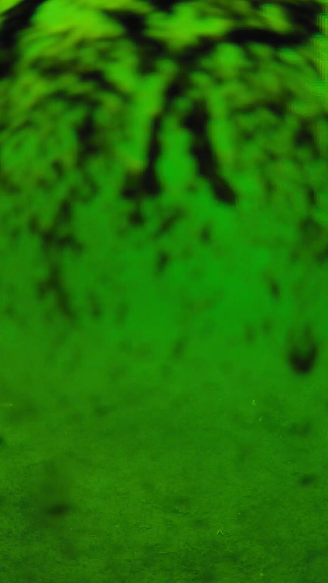 lander_ipcam_20240704120542.png