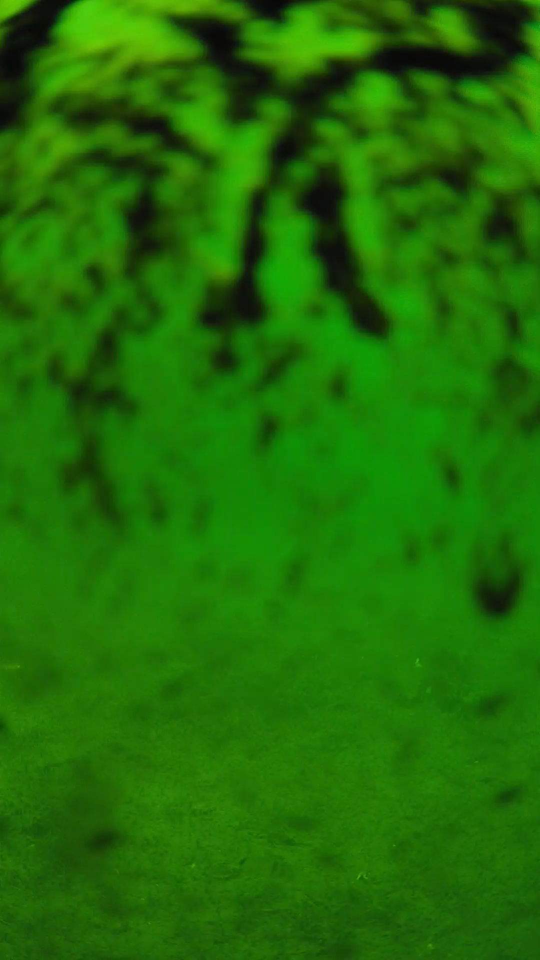 lander_ipcam_20240704120557.png