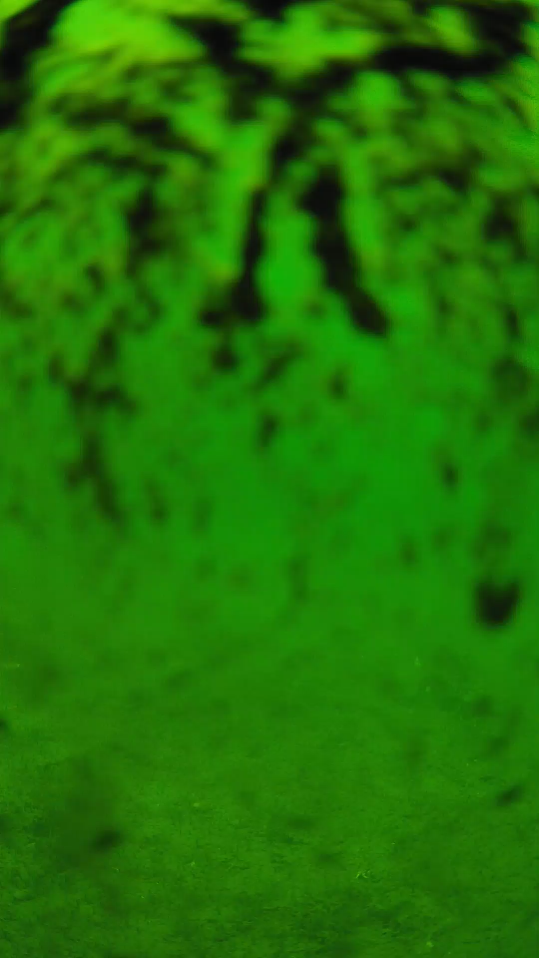 lander_ipcam_20240704123542.png