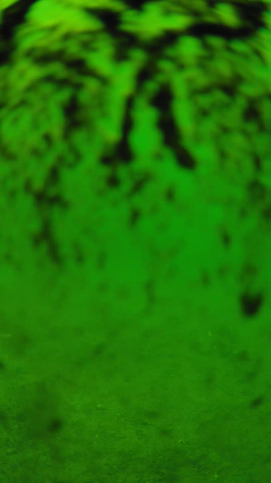 lander_ipcam_20240704123552.png