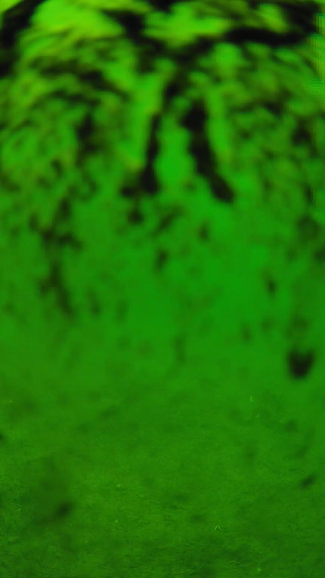 lander_ipcam_20240704123559.png