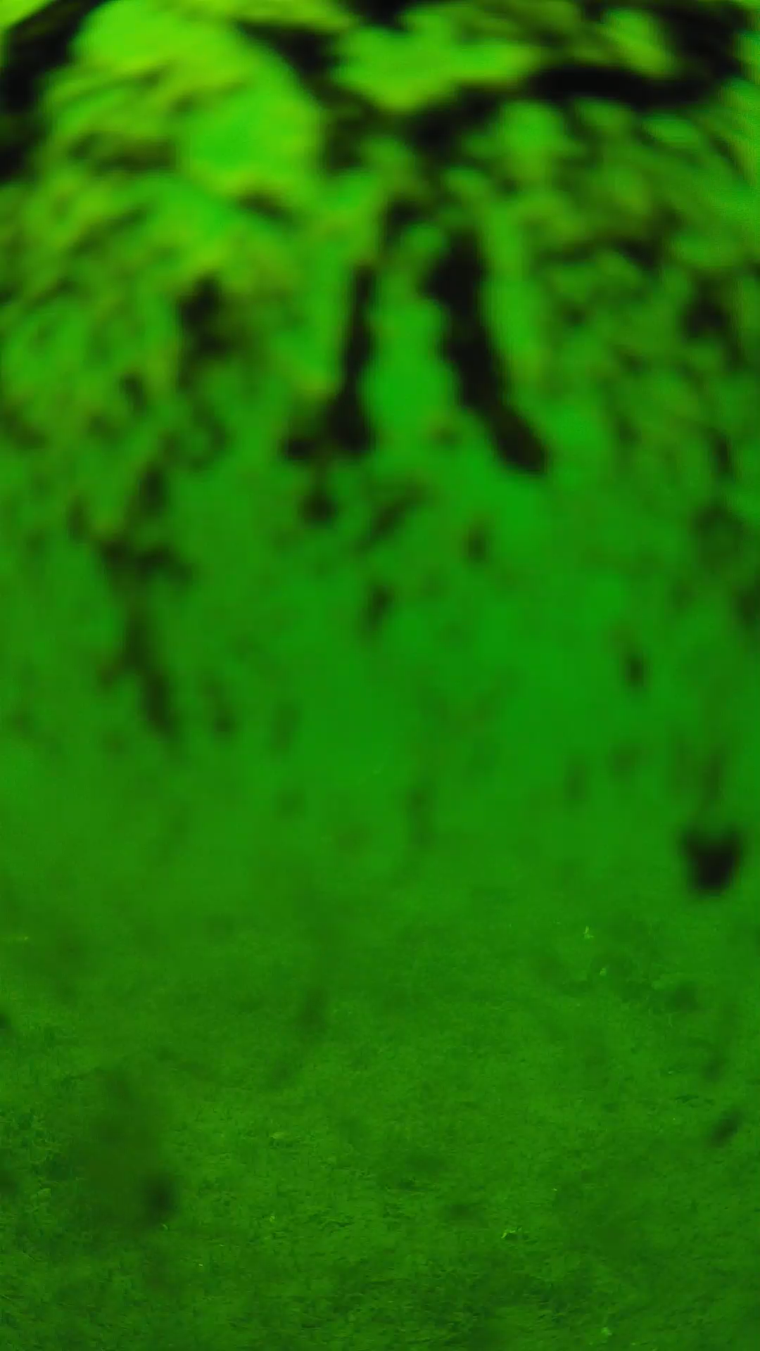 lander_ipcam_20240704130548.png
