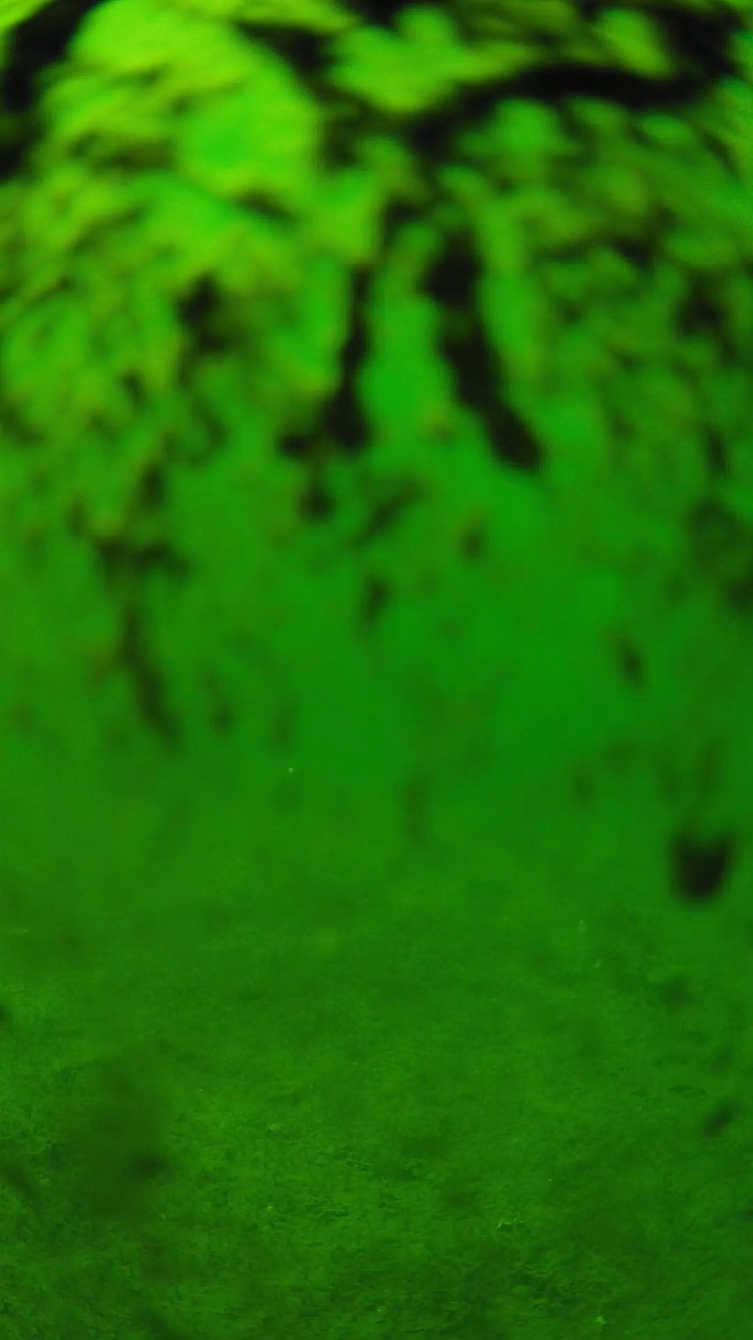 lander_ipcam_20240704140555.png
