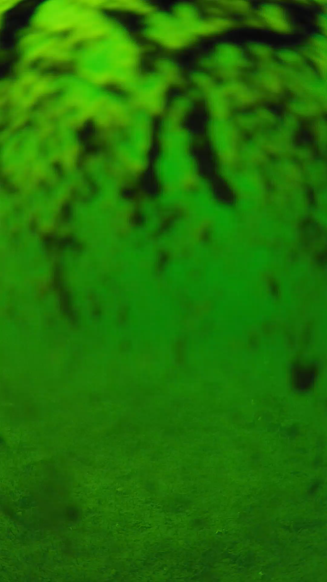 lander_ipcam_20240704140559.png