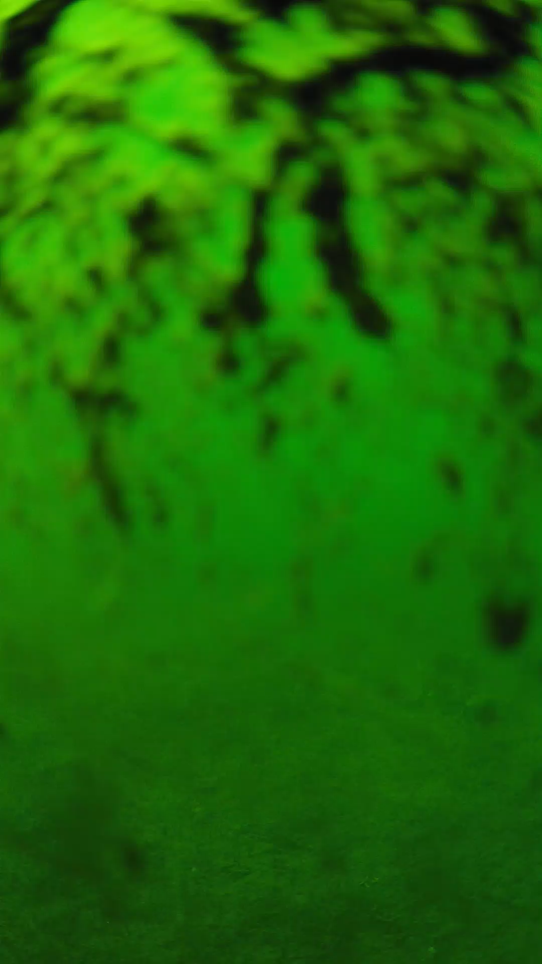 lander_ipcam_20240704150538.png