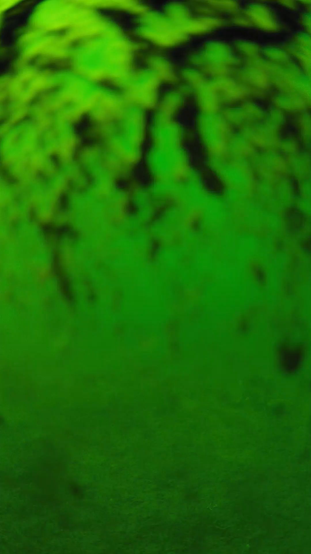 lander_ipcam_20240704150542.png