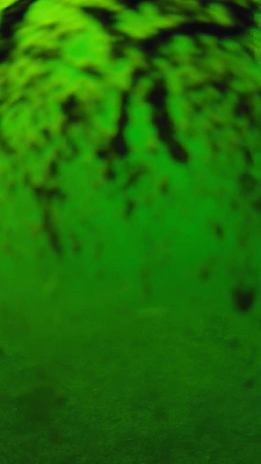 lander_ipcam_20240704150553.png