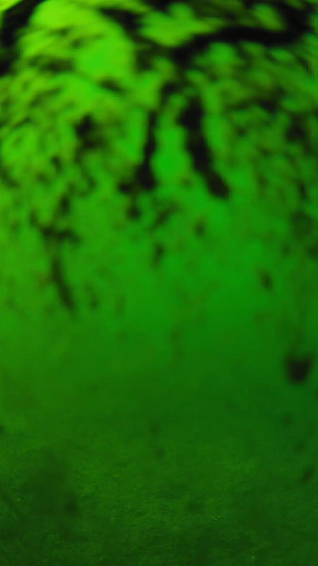 lander_ipcam_20240704153545.png