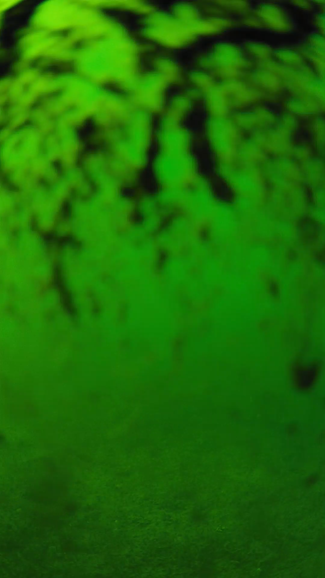 lander_ipcam_20240704153608.png