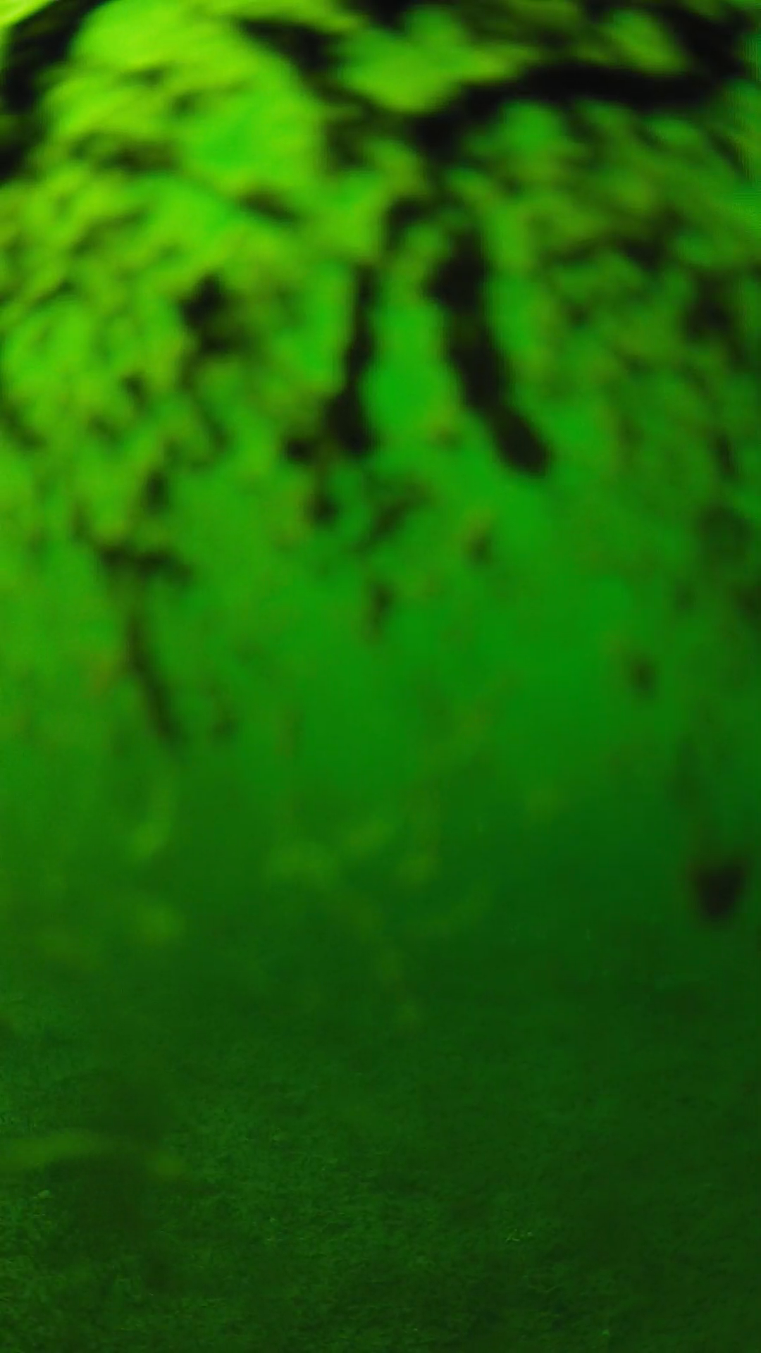lander_ipcam_20240704160542.png