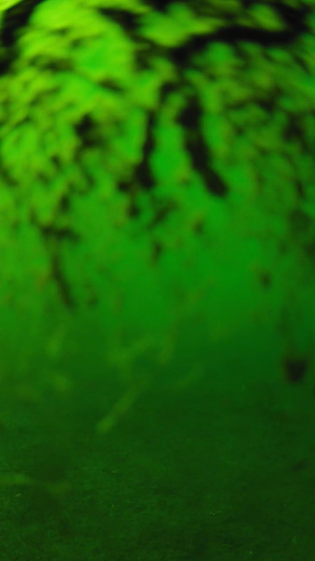 lander_ipcam_20240704160546.png