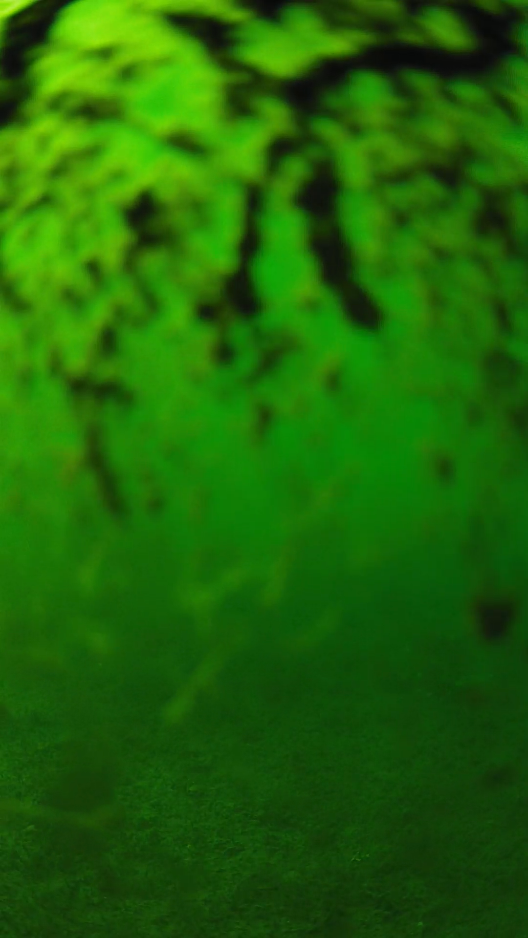 lander_ipcam_20240704160550.png