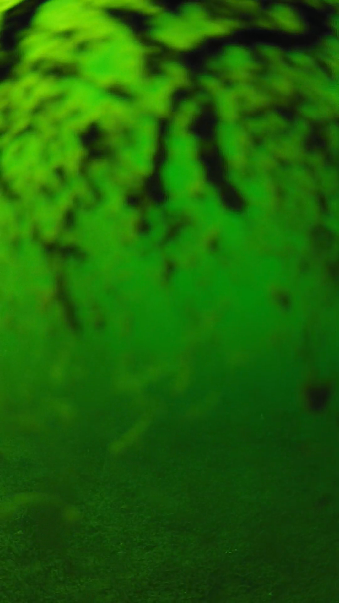 lander_ipcam_20240704160603.png