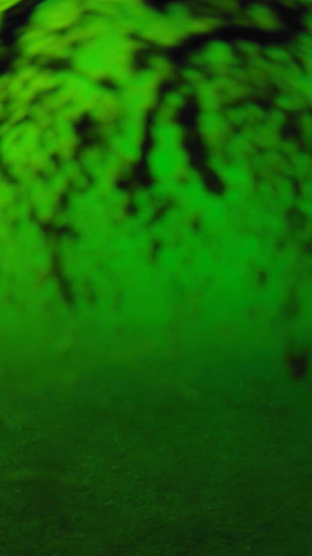 lander_ipcam_20240704163546.png