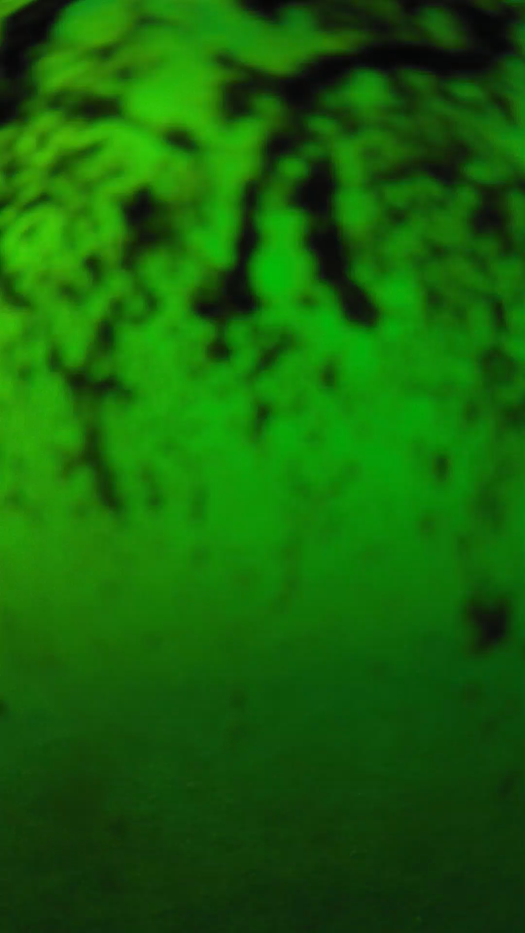 lander_ipcam_20240704170549.png