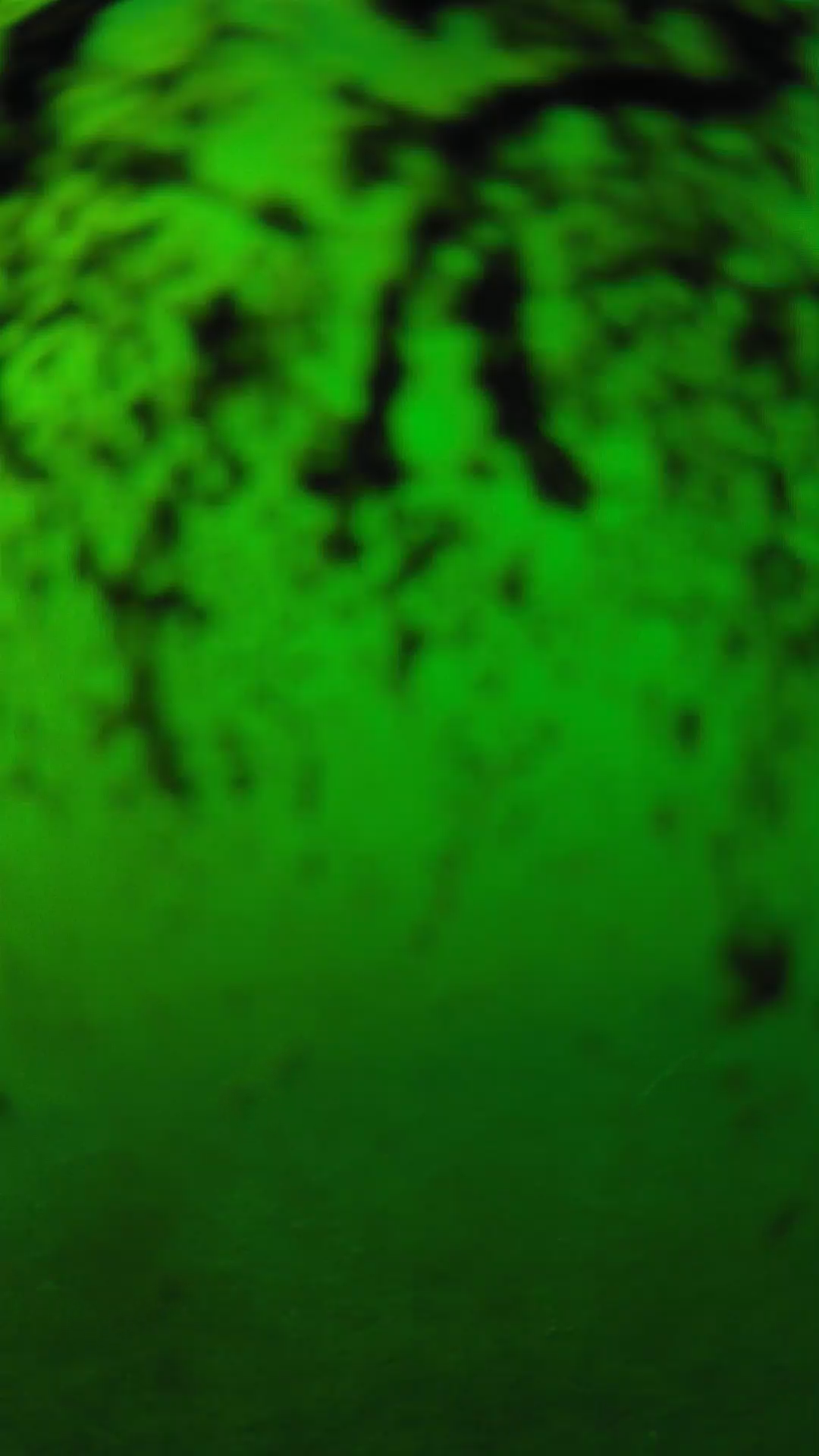 lander_ipcam_20240704170557.png