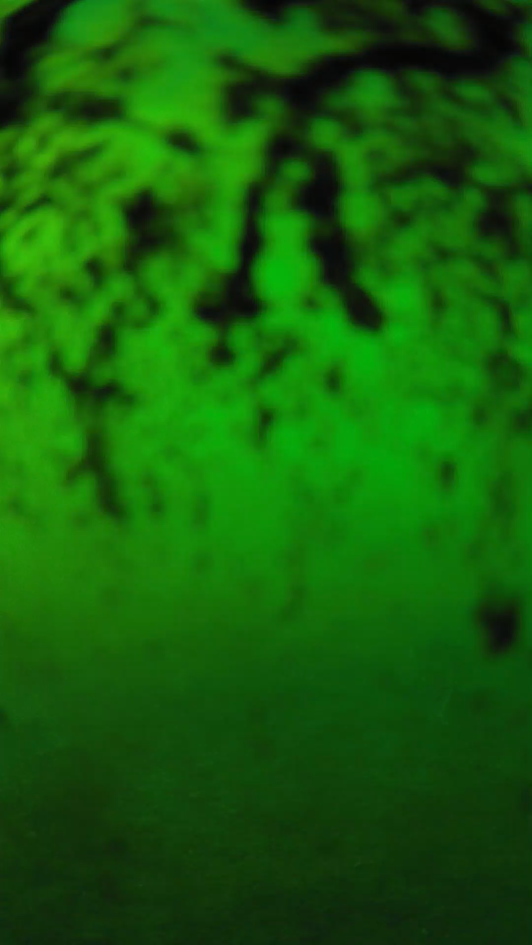 lander_ipcam_20240704173542.png