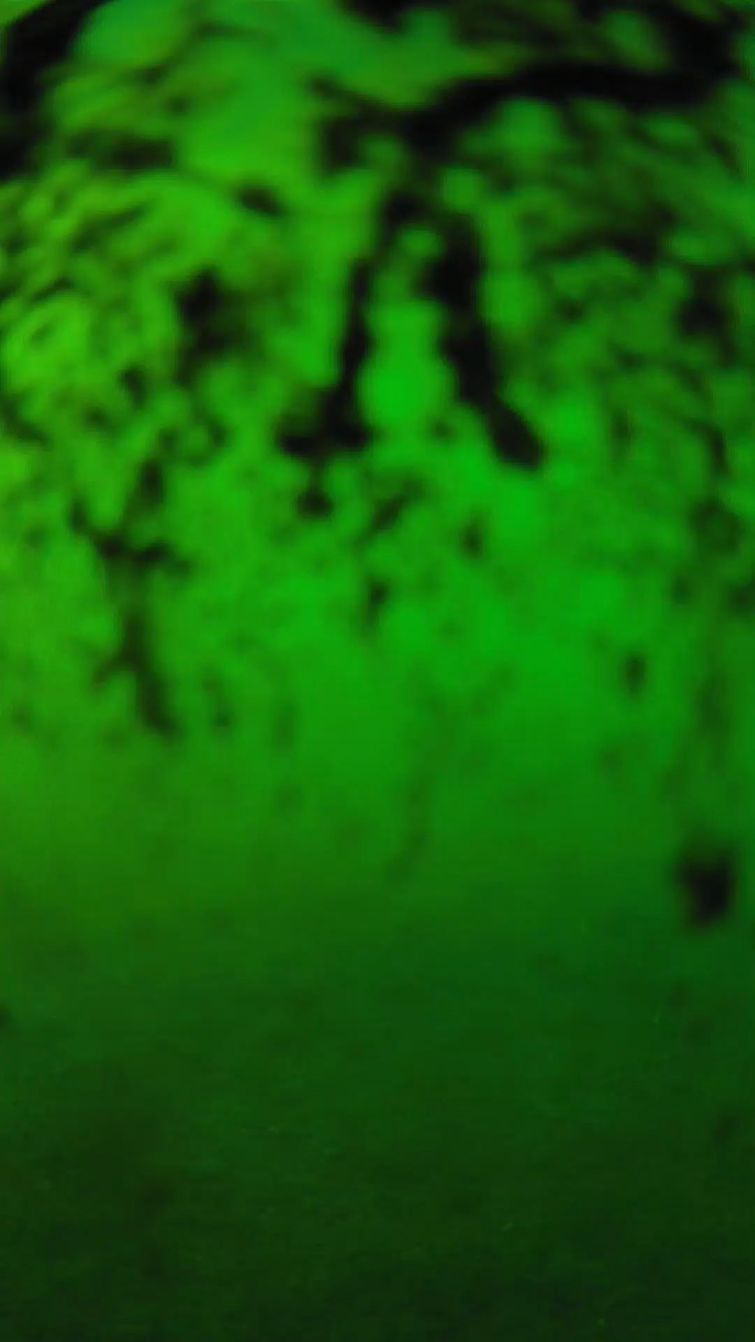 lander_ipcam_20240704173545.png